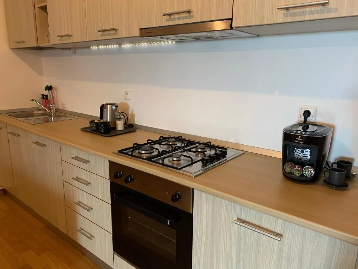 365 Apartments 부쿠레슈티